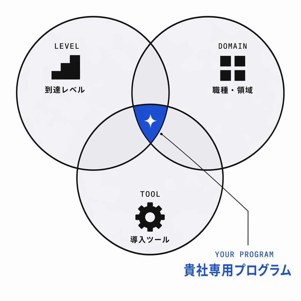 Level × Domain × Tool の 3 軸が交差して貴社専用プログラムが決まることを示すベン図